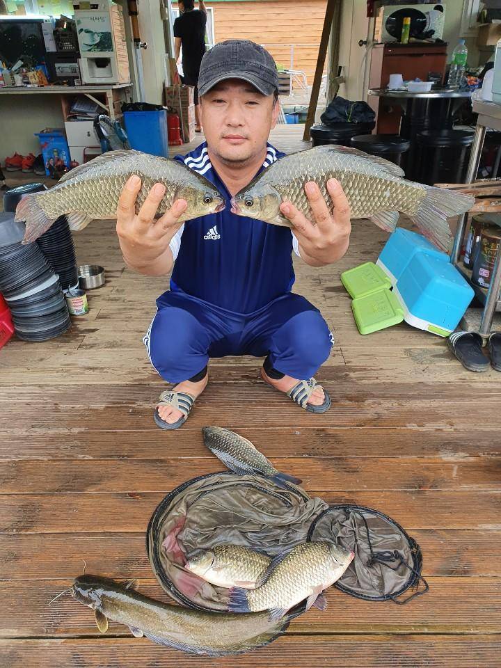 고삼지 특수시즌이 다가왔습니다 (유료터정보 - 유료터점주조황)