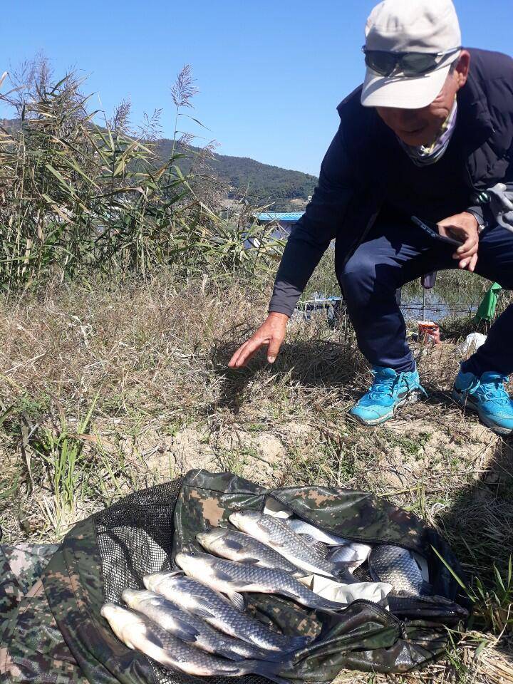 아산 안골지 조황정보 입니다 (유료터정보 - 유료터점주조황)