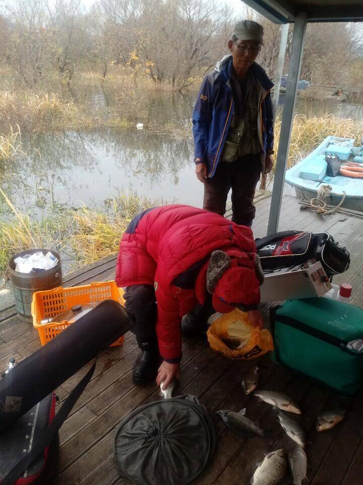 예당저수지 대양좌대 2020년 11월 1718일 금일조황 (유료터정보 - 유료터점주조황)