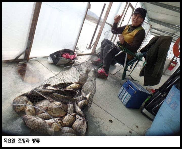 아산죽산지412일 목요일 조황과 방류 (유료터정보 - 유료터점주조황)