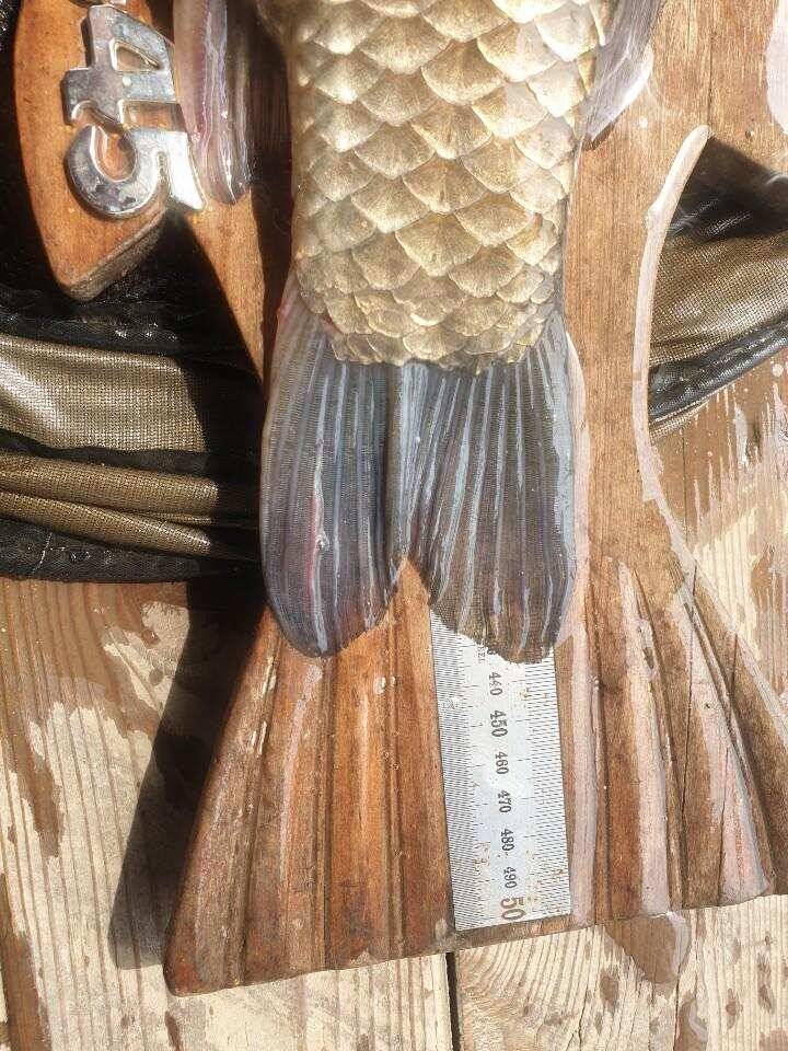 고삼지 상류권 포인트 막바지 기회 (유료터정보 - 유료터점주조황)