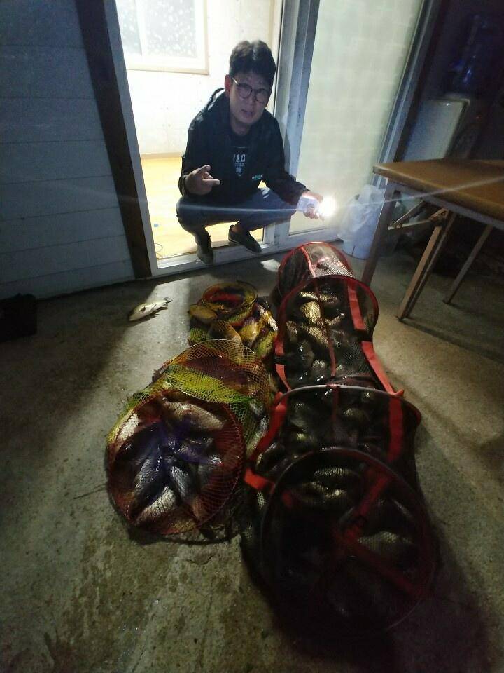 반제지 붕어대박조황 (유료터정보 - 유료터점주조황)