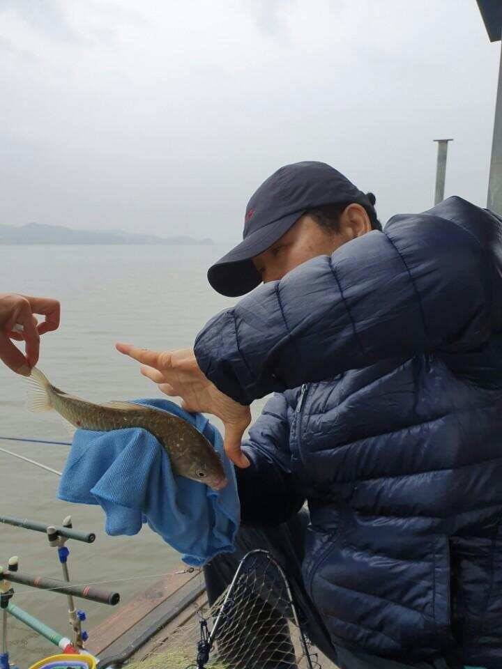 예당저수지 대양좌대 2019년 05월 1819일 금일조황 (유료터정보 - 유료터점주조황)