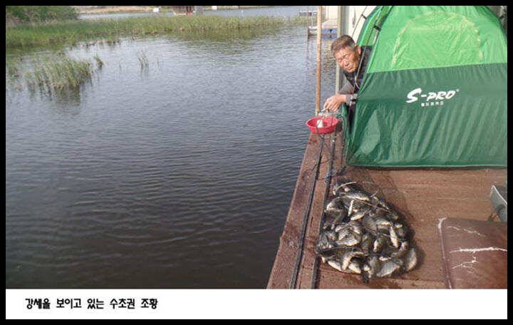 아산죽산지58일 강세을 보이는 수초권 밤 조황 (유료터정보 - 유료터점주조황)