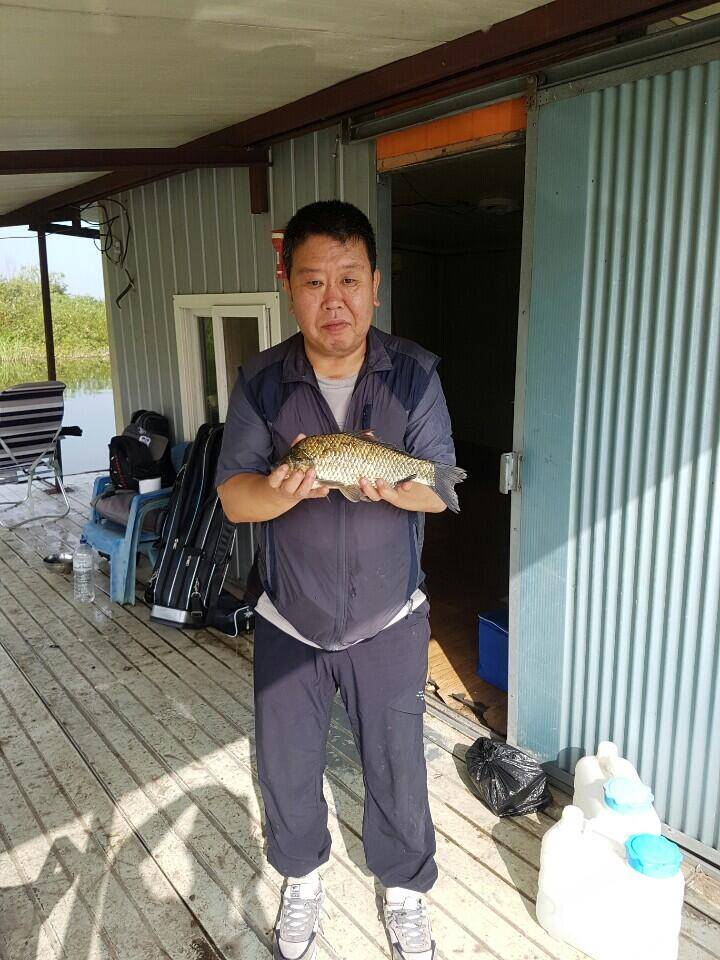 아산 안골지 조황정보 입니다 (유료터정보 - 유료터점주조황)