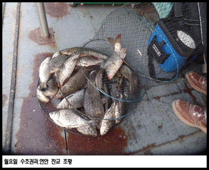 아산죽산지49일 수초권 움직임이 보입니다 (유료터정보 - 유료터점주조황)