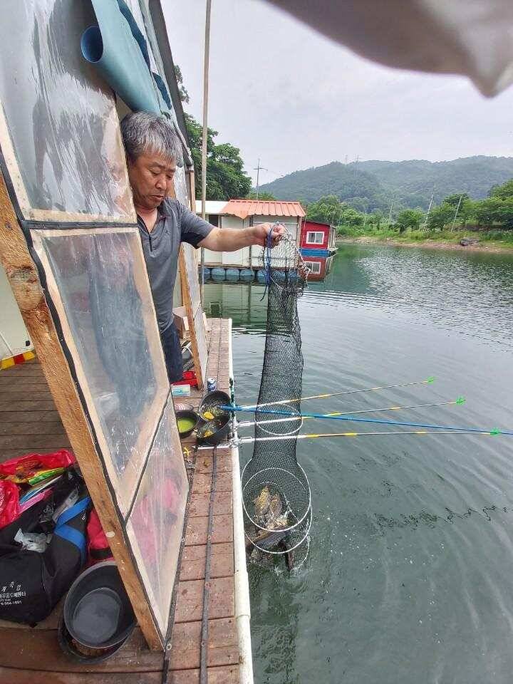 수곡낚시터 상중하류권 모두 고른 조황이 이어집니다 (유료터정보 - 유료터점주조황)