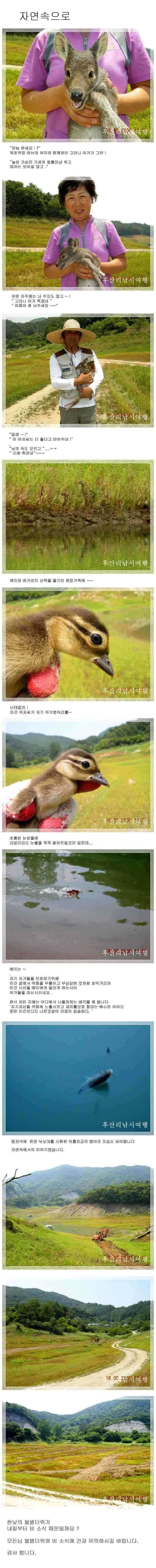 충주호 후산리 자연속 이야기 (유료터정보 - 유료터점주조황)