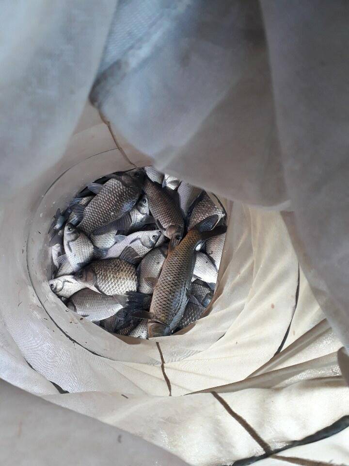 아산 안골지 조황정보 입니다 (유료터정보 - 유료터점주조황)