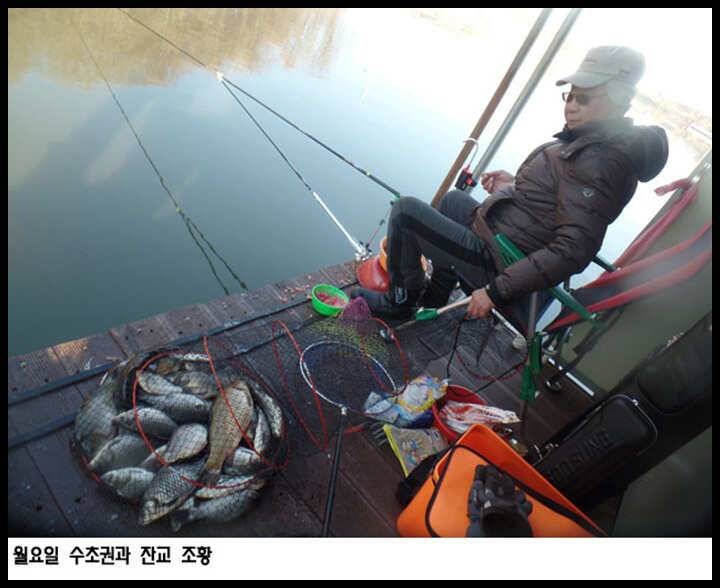 아산죽산지42일 월요일 수초권과 잔교 조황 (유료터정보 - 유료터점주조황)