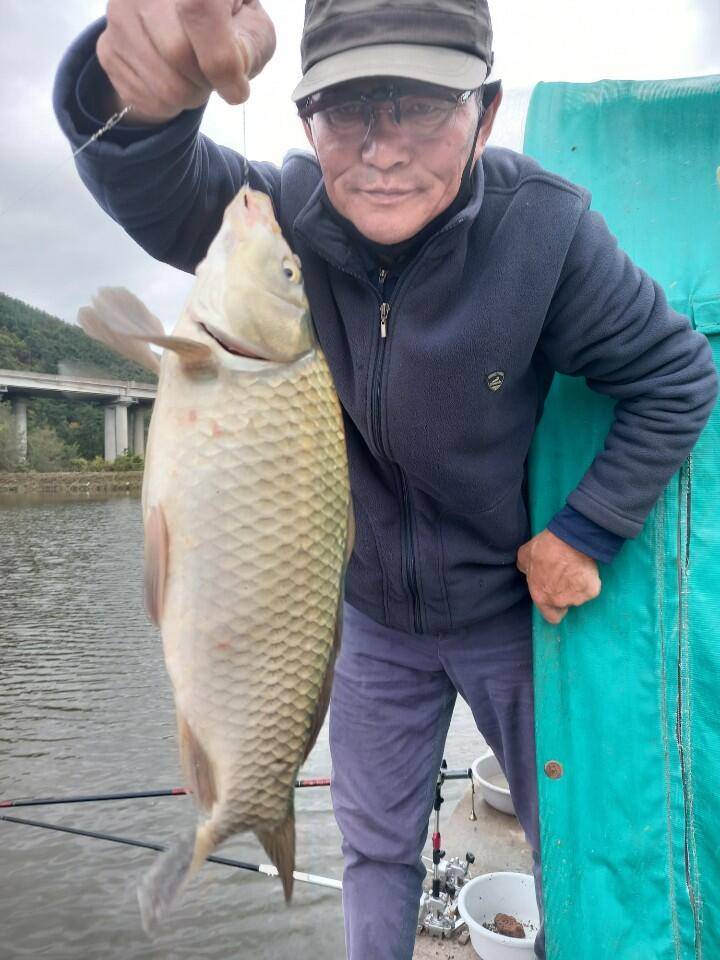 경주 삼괴정낚시터 1016일 조황상황 및 붕어방류 (유료터정보 - 유료터점주조황)