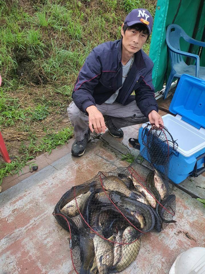 경주 삼괴정낚시터 73 일 주중조과 및 방류붕어 현황 (유료터정보 - 유료터점주조황)