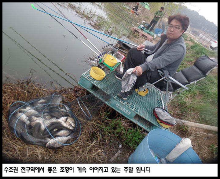 아산죽산지421일 좋은 조황이 이어지고 있는 주말 입니다 (유료터정보 - 유료터점주조황)