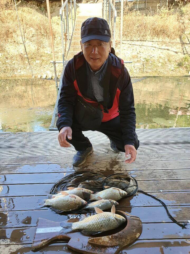 체구가 좋아진 고삼지 붕어조황입니다 (유료터정보 - 유료터점주조황)