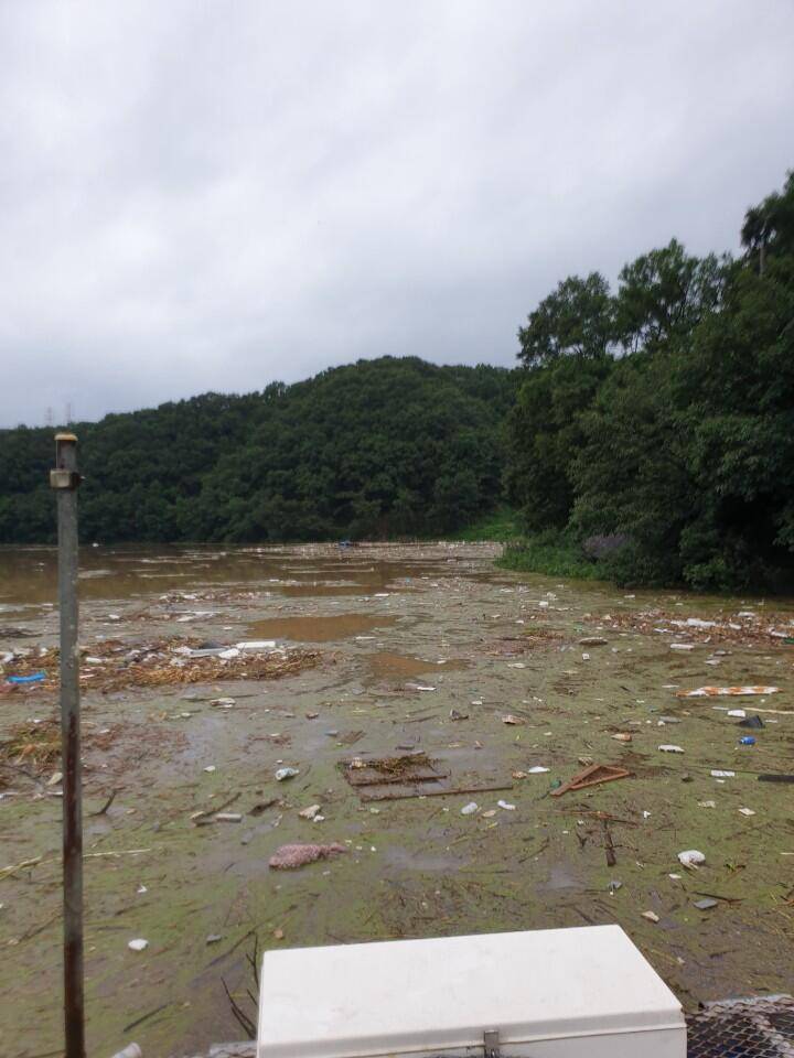 고삼지 현 전체적인 상황입니다 (유료터정보 - 유료터점주조황)