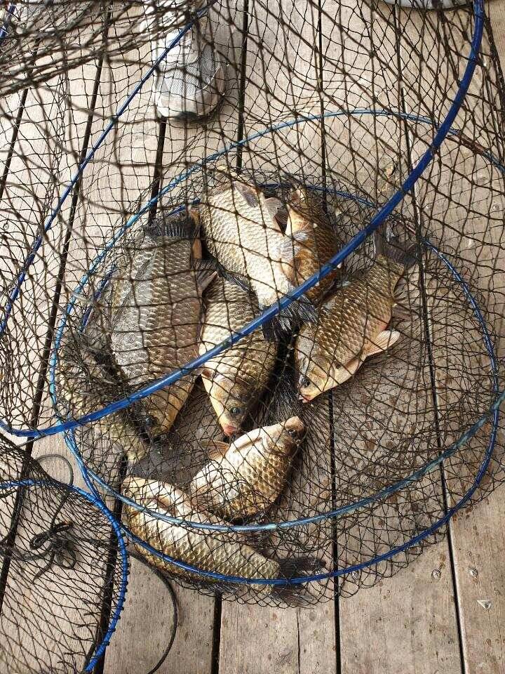 손맛이 즐거워요 (유료터정보 - 유료터점주조황)