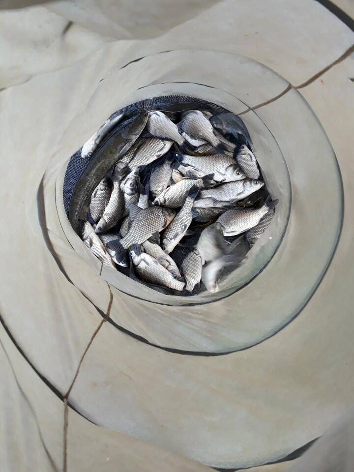 아산 안골지 조황정보 입니다 (유료터정보 - 유료터점주조황)