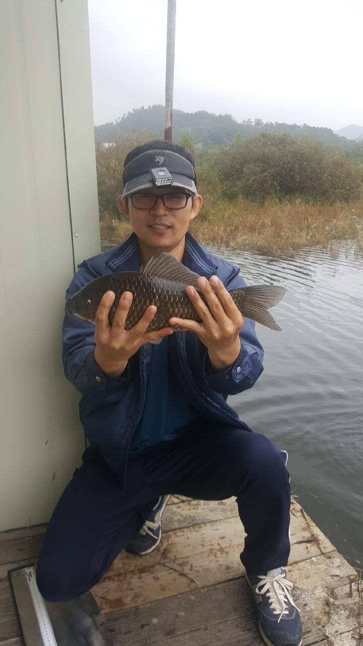 나도 프로 입니다ㅋㆍㅋ (유료터정보 - 유료터점주조황)