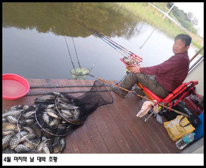 아산죽산지51일 4월 마지막 날 대박 조황 (유료터정보 - 유료터점주조황)