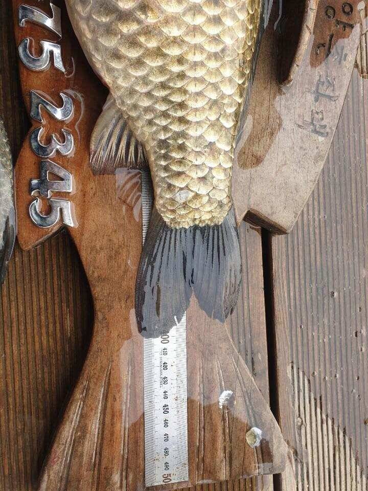 고삼지 양촌좌대 상류권 4짜붕어 난리났습니다 (유료터정보 - 유료터점주조황)