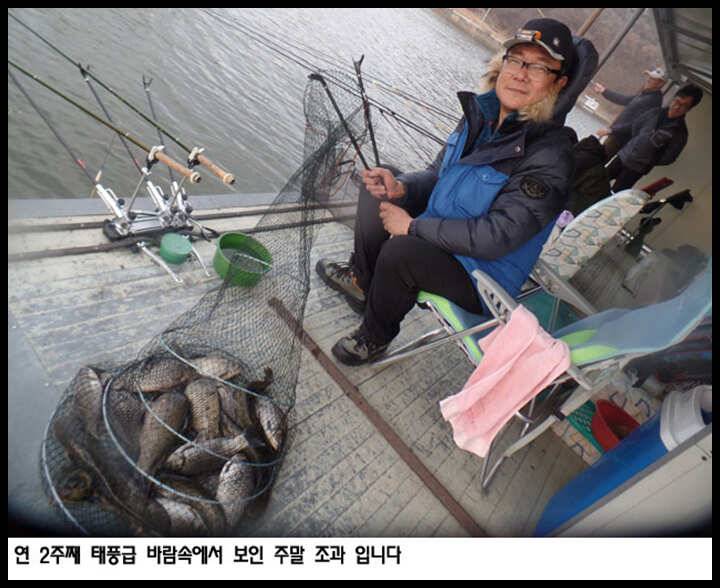 아산죽산지331일 태풍급 바람속에서 보인 주말 조과 입니다 (유료터정보 - 유료터점주조황)