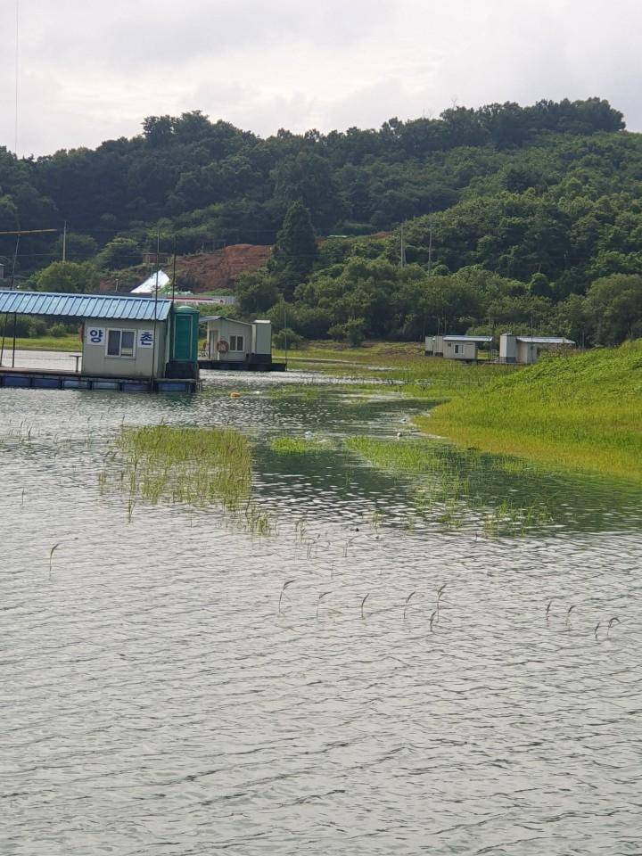 고삼지 오름수위 준비하세요 (유료터정보 - 유료터점주조황)