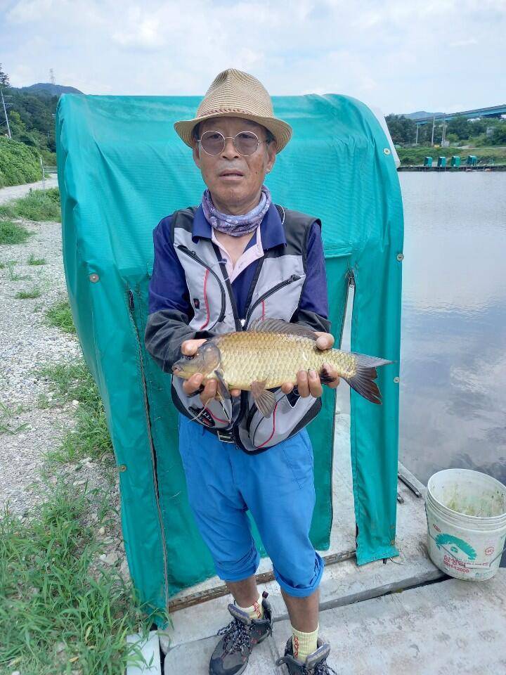 경주 삼괴정낚시터 815일 조황상황 및 오늘방류한대물들ㅡ300k방류 (유료터정보 - 유료터점주조황)