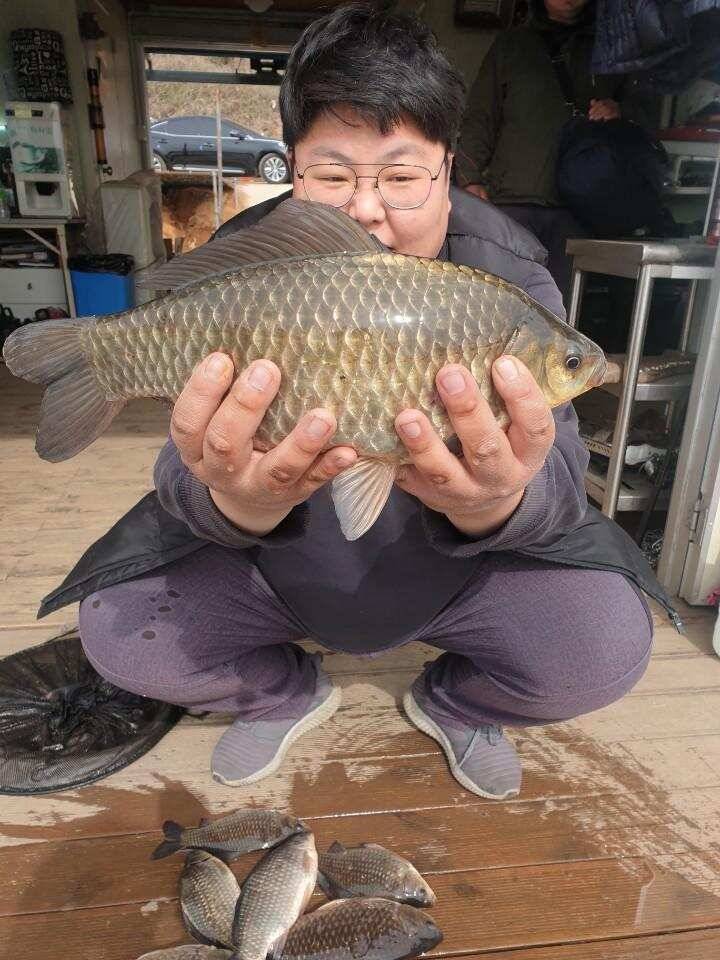 고삼지 최상류 황금빛 사짜붕어 행렬 (유료터정보 - 유료터점주조황)