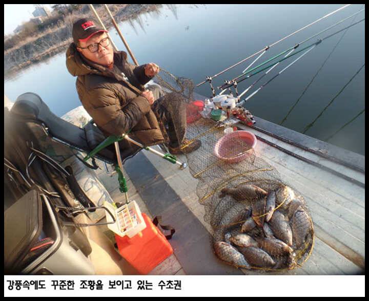 아산죽산지41일 강풍속에도 꾸준한 조황을 보이는 수초권 (유료터정보 - 유료터점주조황)