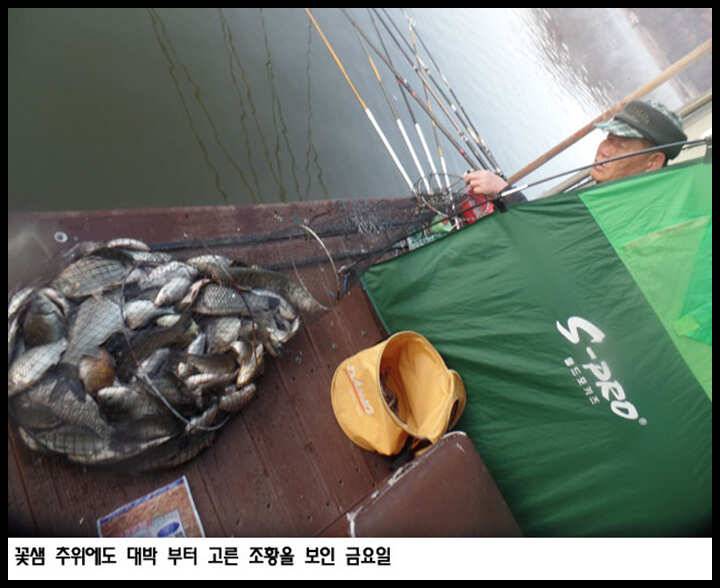아산죽산지323일 추위에도 대박 부터 고른 조황을 보인 금요일 (유료터정보 - 유료터점주조황)
