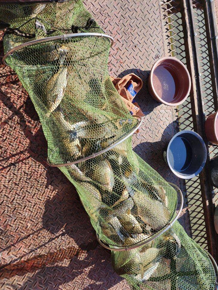 겨울이 다가온 통삼낚시터 겨울 할인 운영 (유료터정보 - 유료터점주조황)