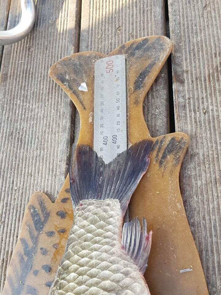 ◎ 매주 4짜와 대박어망 행진◎ (유료터정보 - 유료터점주조황)
