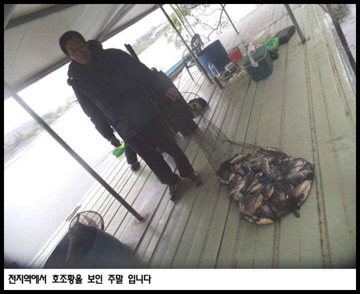 아산죽산지428일 전지역에서 호조황을 보인 주말 입니다 (유료터정보 - 유료터점주조황)