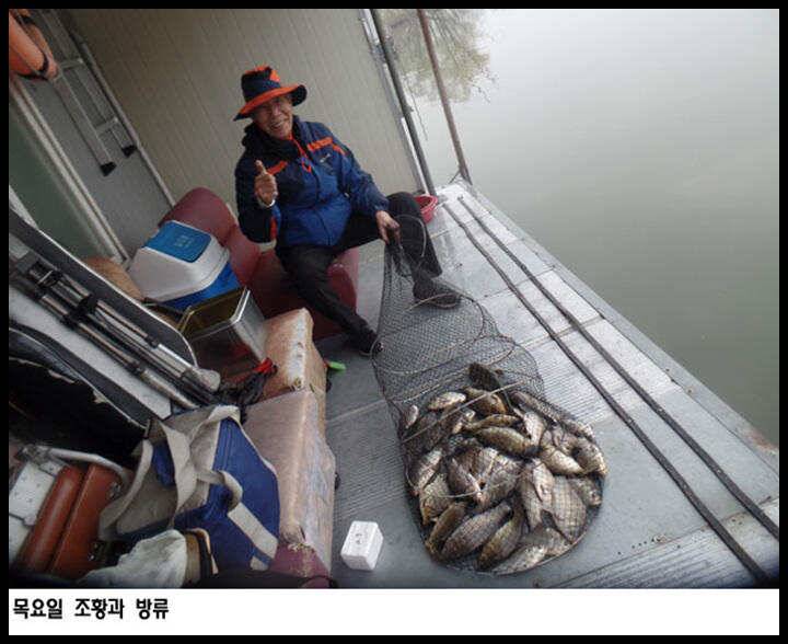 아산죽산지419일 목요일 조황과 방류 (유료터정보 - 유료터점주조황)
