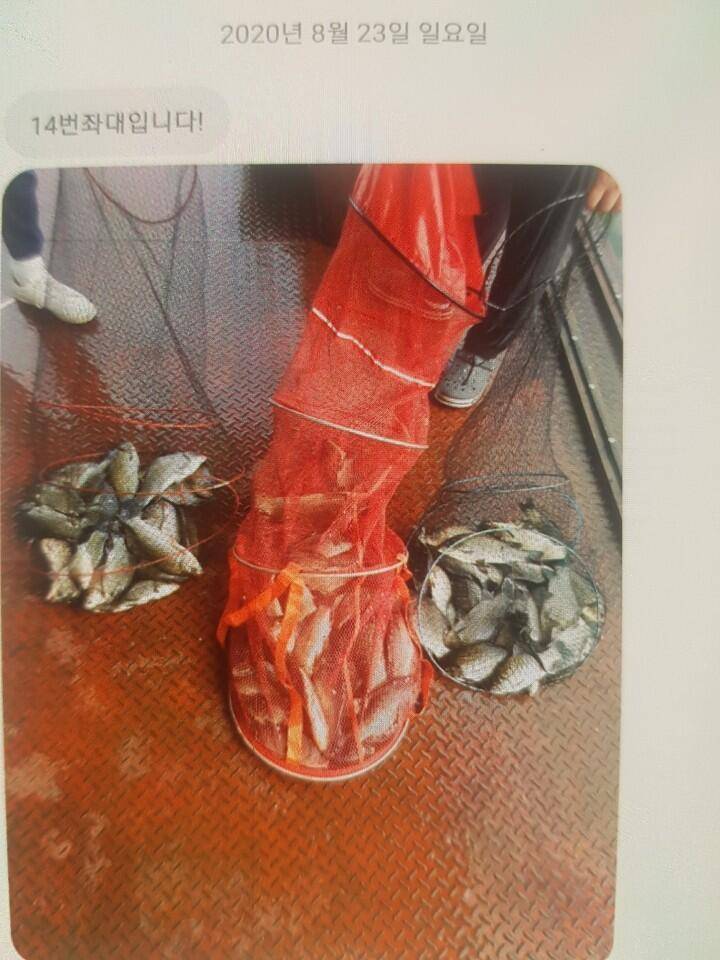 통삼 낚시터 대량 방류 및 근황 즐거운 가족낚시터 (유료터정보 - 유료터점주조황)