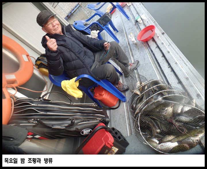 아산죽산지329일 목요일 밤 조황과 방류 (유료터정보 - 유료터점주조황)