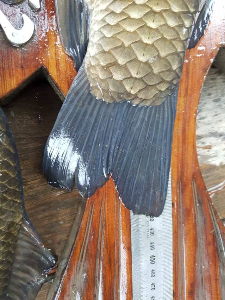 고삼지양촌4짜 토종의 명당 양촌 (유료터정보 - 유료터점주조황)