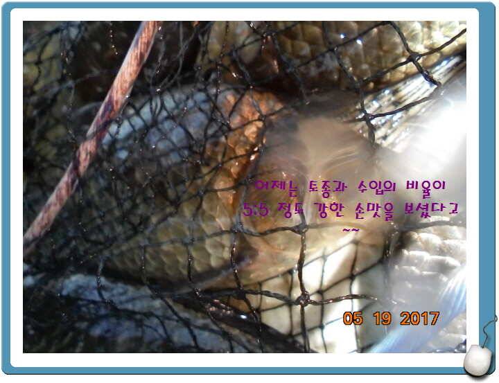 도심속의 작은 쉼터 화성 관리 낚시터입니다 (유료터정보 - 유료터점주조황)