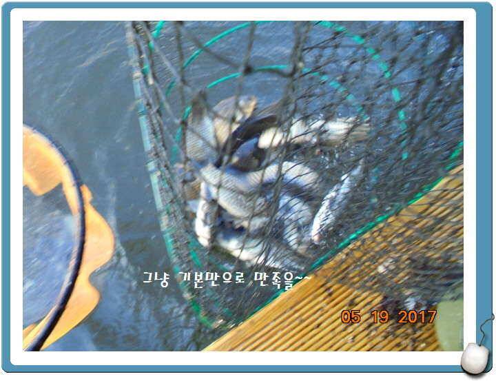도심속의 작은 쉼터 화성 관리 낚시터입니다 (유료터정보 - 유료터점주조황)