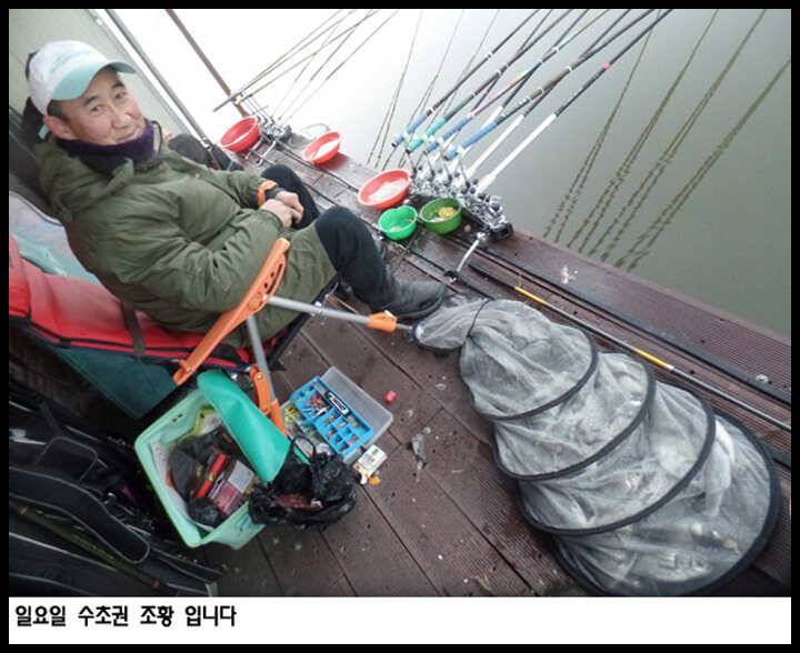 아산죽산지1119일 일요일 수초권 조황 (유료터정보 - 유료터점주조황)