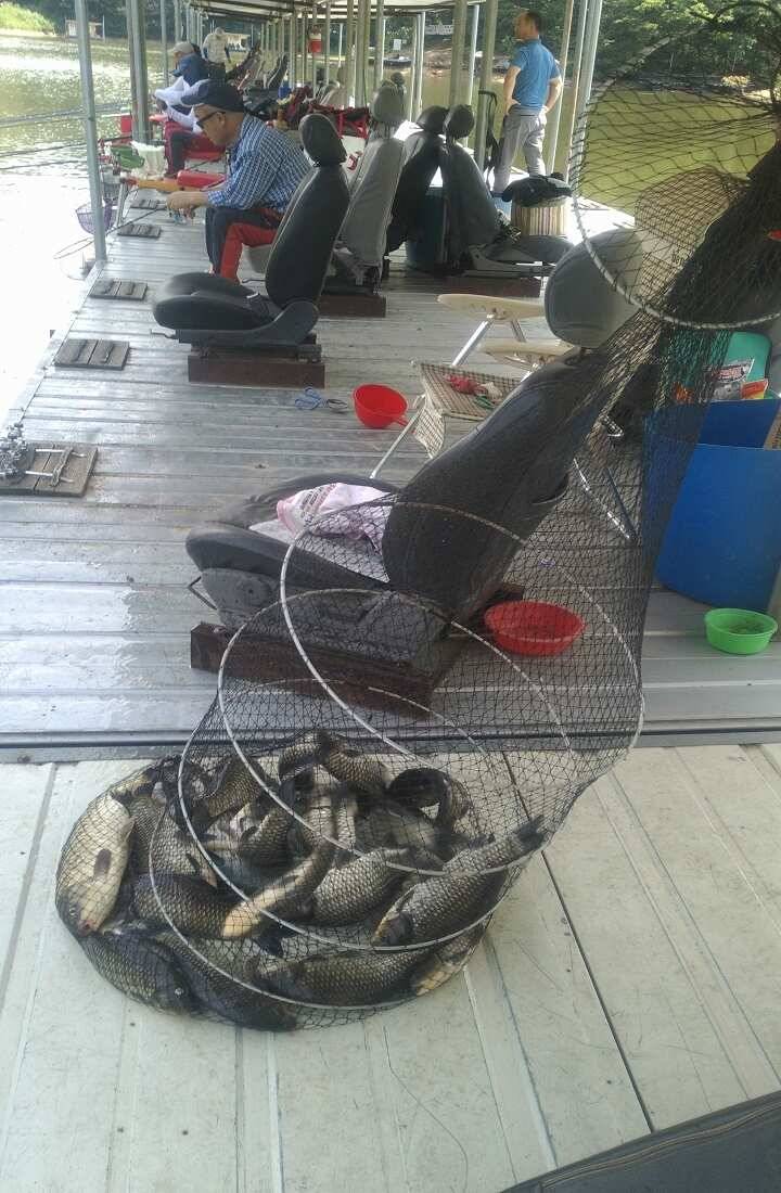 fish_pay_45d59_044941_40312.jpg