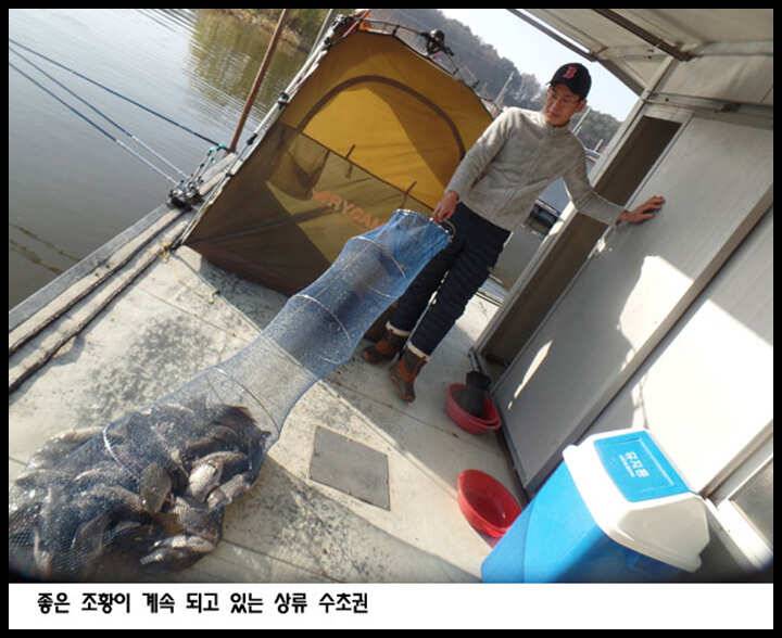 아산죽산지1120일 좋은 조황이 계속 되고 있는 상류 수초권 (유료터정보 - 유료터점주조황)