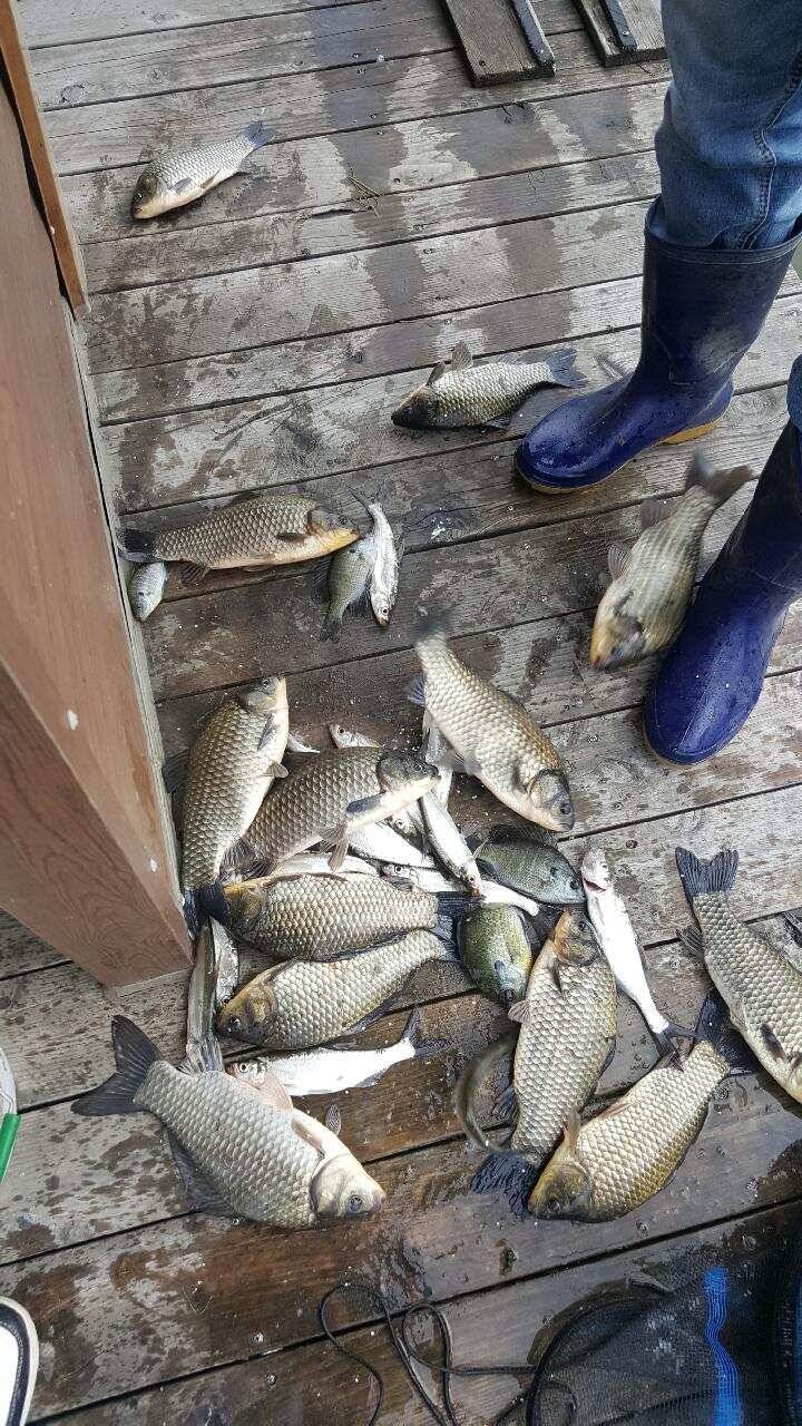 fish_pay_9ef73_120513_12386.jpg