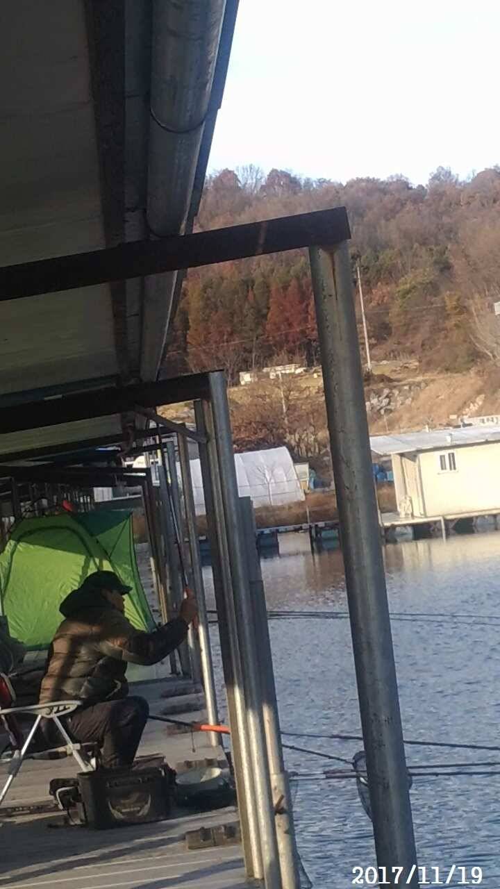 아산 신수지 11월 세째주말 화보입니다 (유료터정보 - 유료터점주조황)