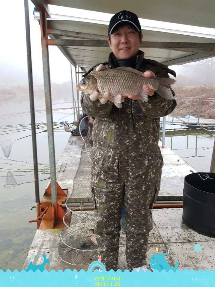 신원낚시터 11월 마지막주 조황소식과 방류 동영상 입니다 (유료터정보 - 유료터점주조황)