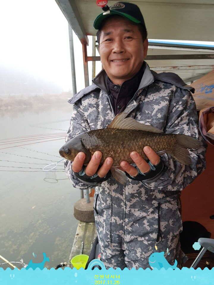 신원낚시터 11월 마지막주 조황소식과 방류 동영상 입니다 (유료터정보 - 유료터점주조황)
