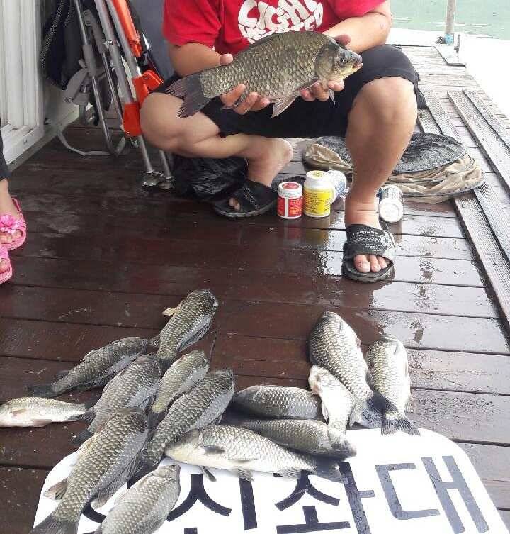 송전지 창신좌대 조황 (유료터정보 - 유료터점주조황)