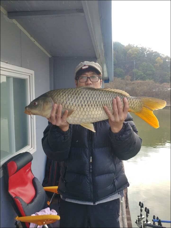 171108 송전지 서울집 조황 (유료터정보 - 유료터점주조황)