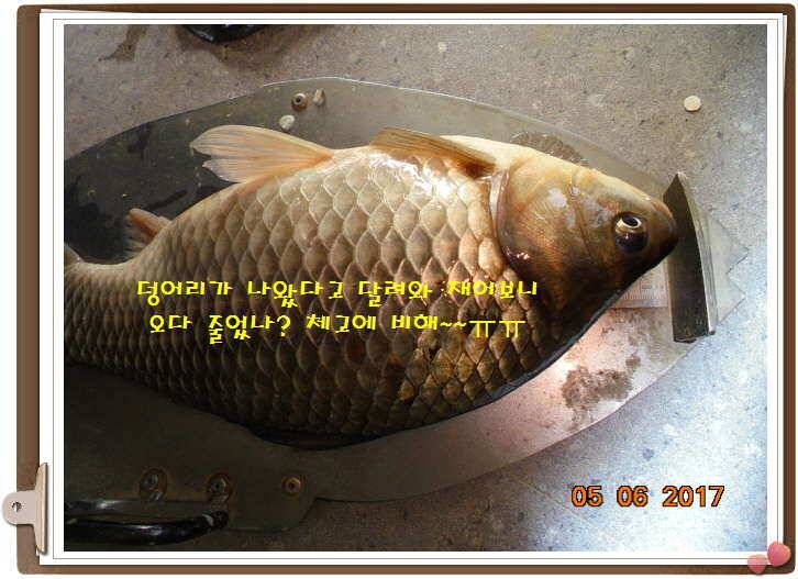도심속으ㅟ 작은 쉼터 화성 관리 낚시터입니다이 밤도 즐겁게 (유료터정보 - 유료터점주조황)