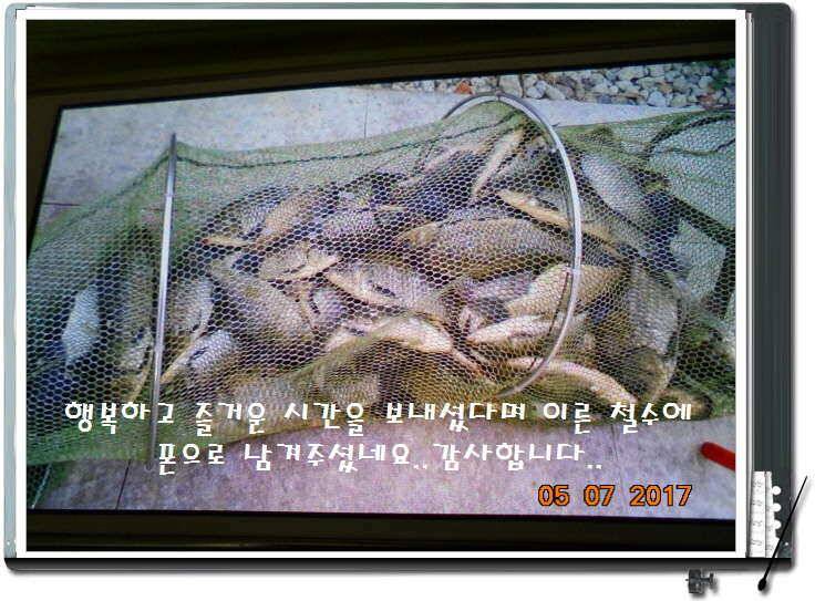 도심속의 작은 쉼터 화성 관리 낚시터입니다 (유료터정보 - 유료터점주조황)